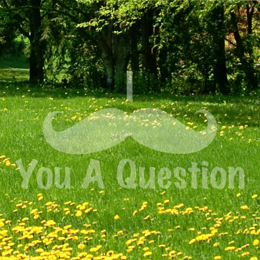 Mustache Must Ask You A Question