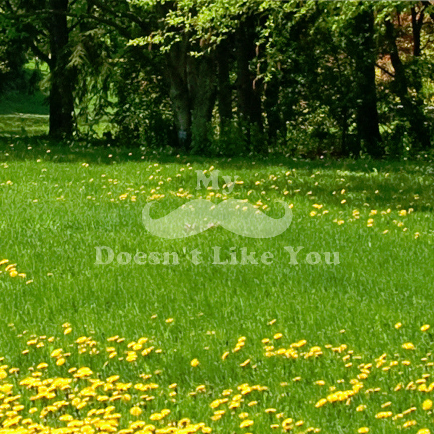 Mustache Doesn't Like You