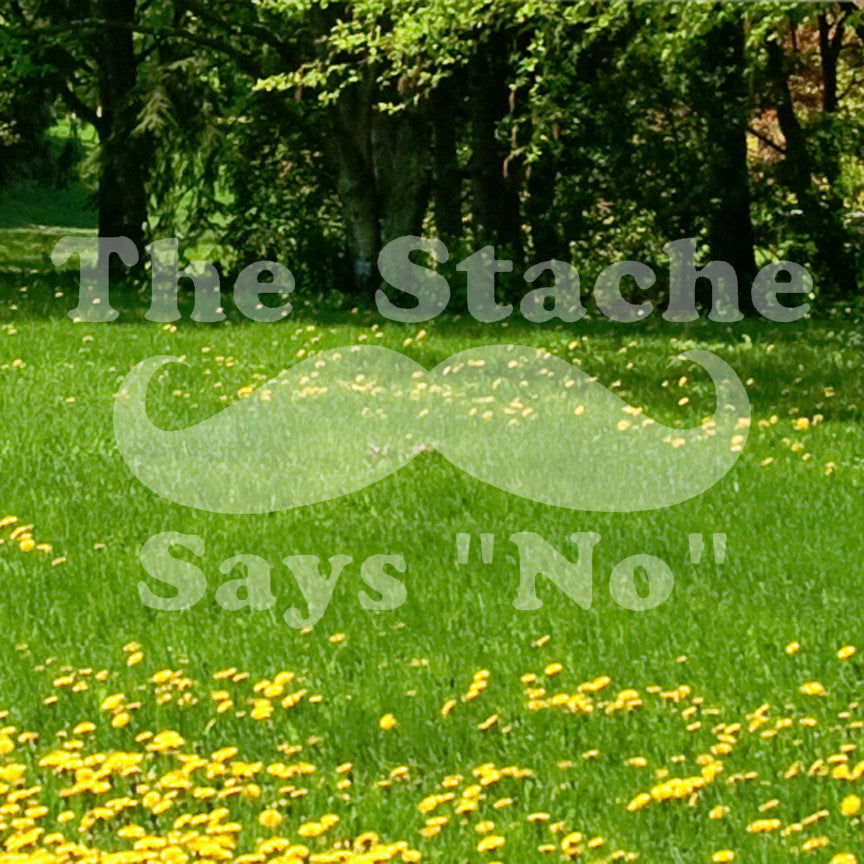 The Stache Says No Mustache