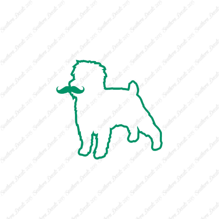 Affenpinscher Curled Tip Mustache