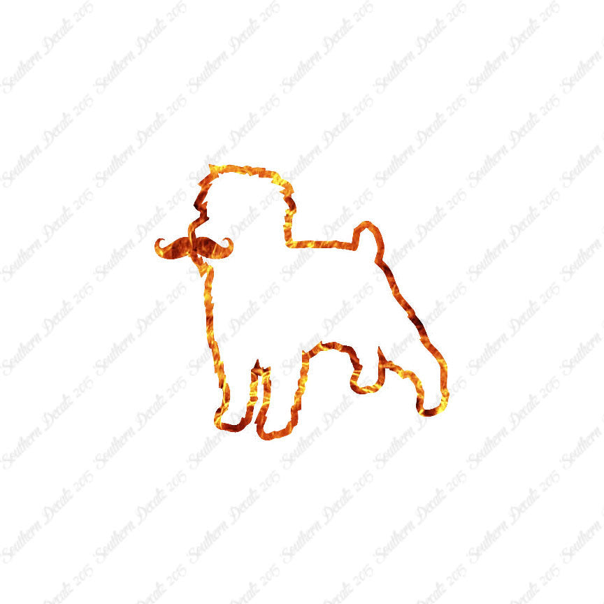 Affenpinscher Curled Tip Mustache