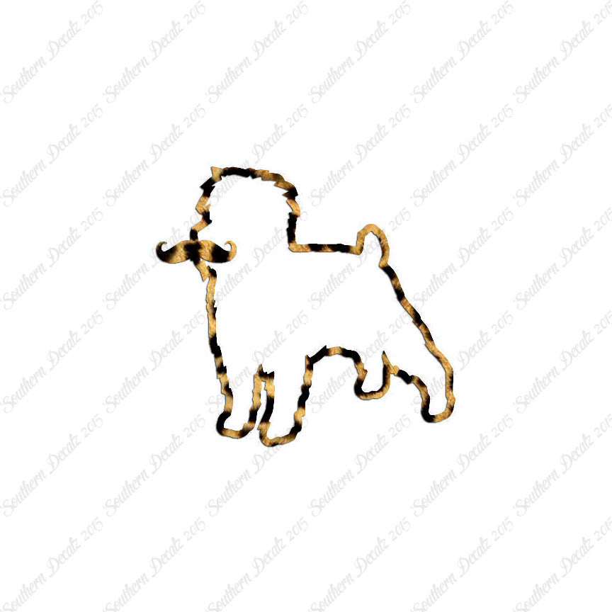 Affenpinscher Curled Tip Mustache