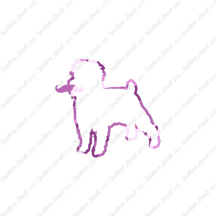 Affenpinscher Curled Tip Mustache