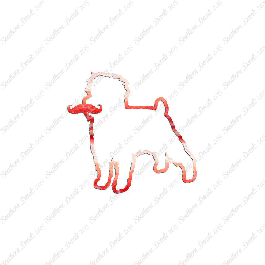 Affenpinscher Curled Tip Mustache