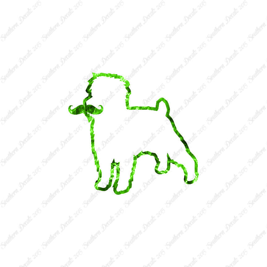 Affenpinscher Curled Tip Mustache