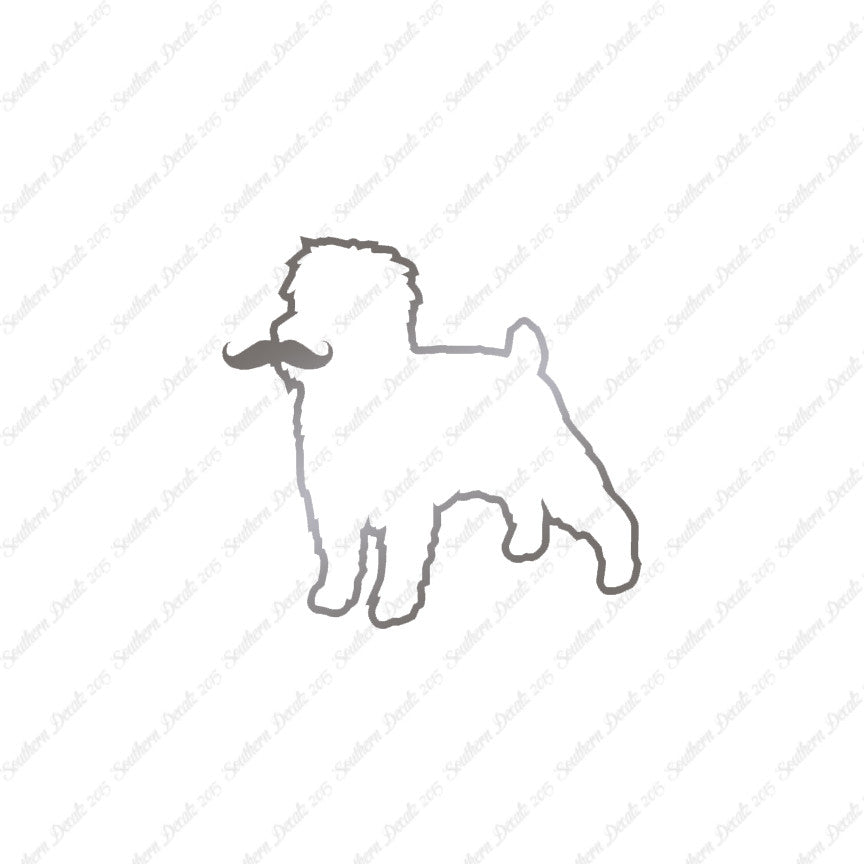 Affenpinscher Curled Tip Mustache