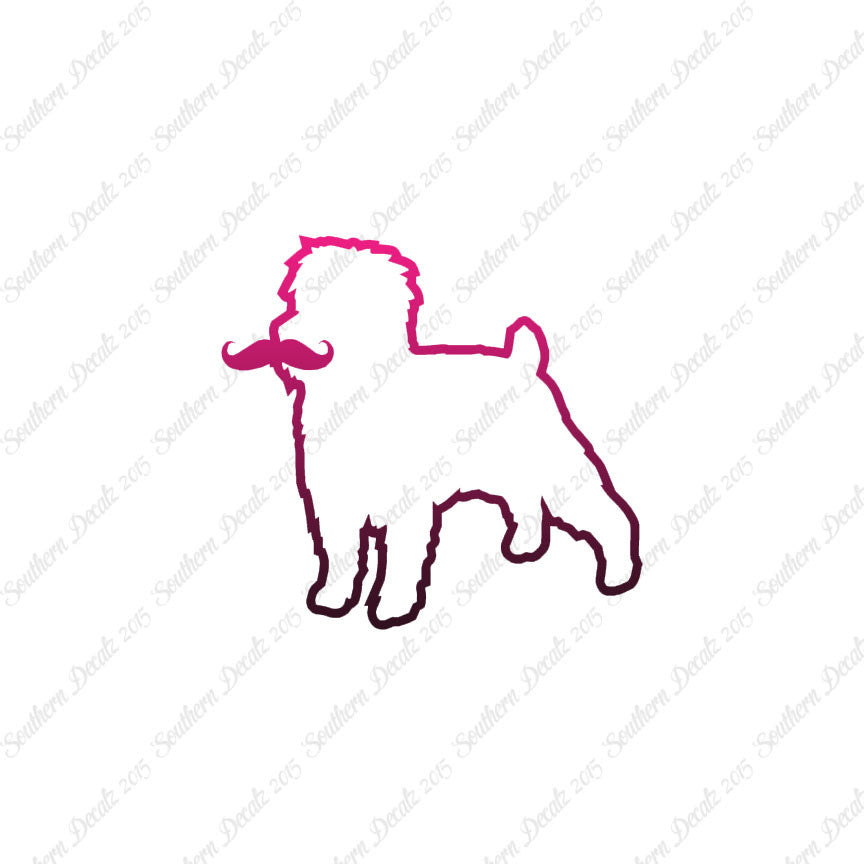 Affenpinscher Curled Tip Mustache