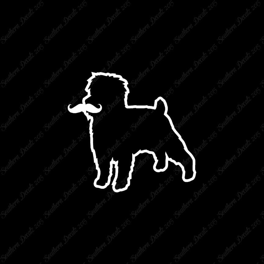 Affenpinscher Curled Tip Mustache