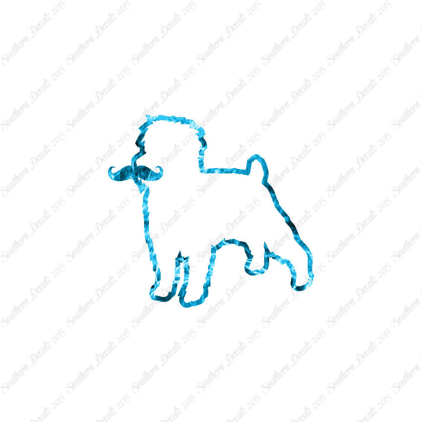 Affenpinscher Curled Tip Mustache