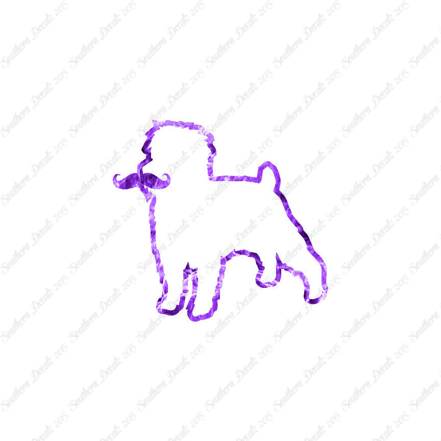 Affenpinscher Curled Tip Mustache