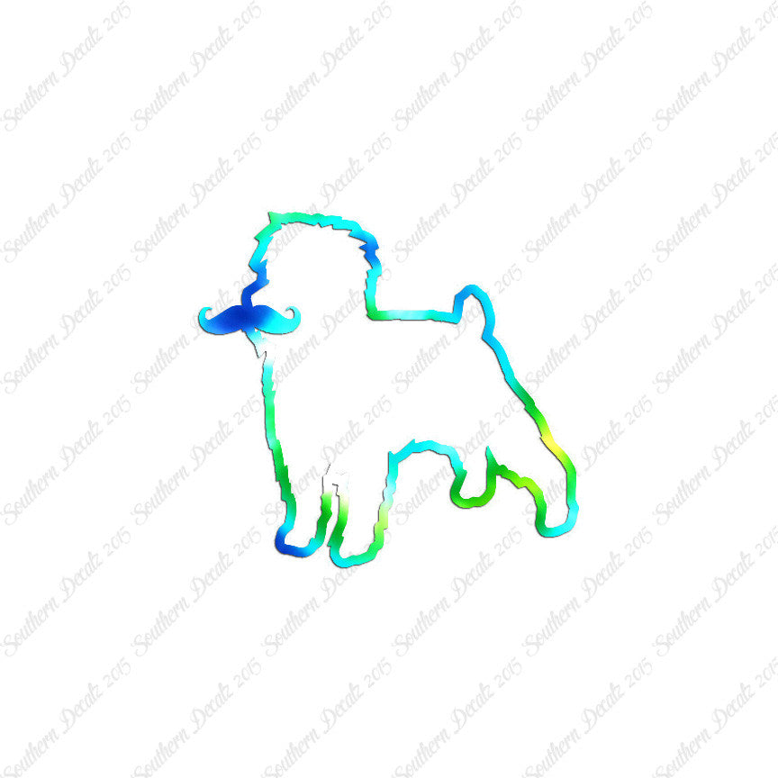 Affenpinscher Curled Tip Mustache