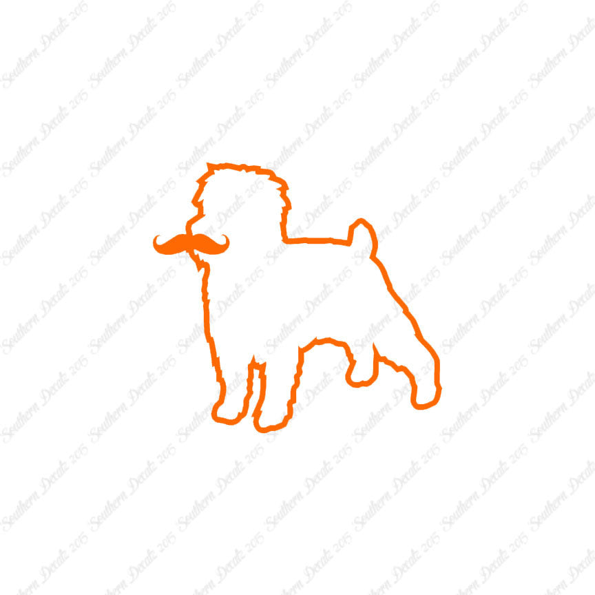 Affenpinscher Curled Tip Mustache