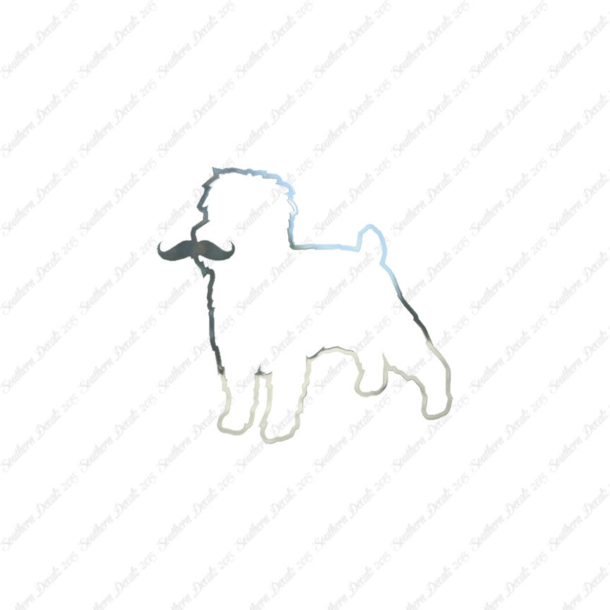 Affenpinscher Curled Tip Mustache