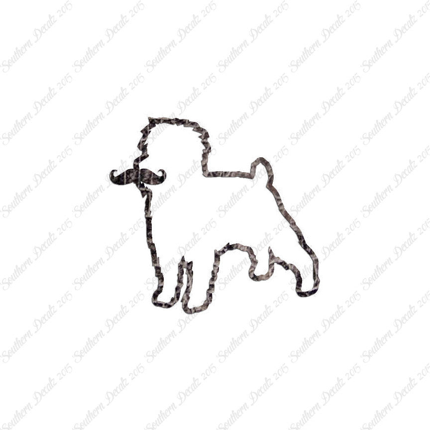 Affenpinscher Curled Tip Mustache