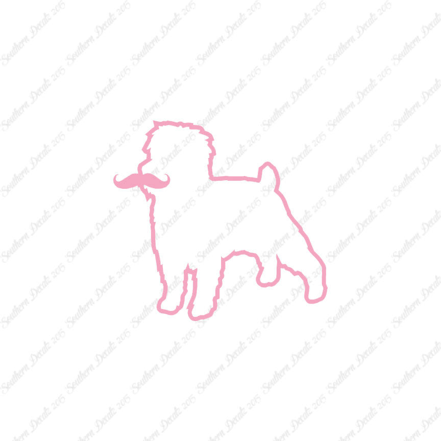 Affenpinscher Curled Tip Mustache