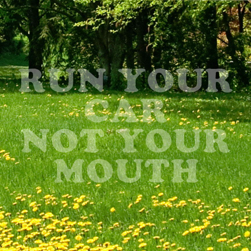 Run your Car Not Your Mouth
