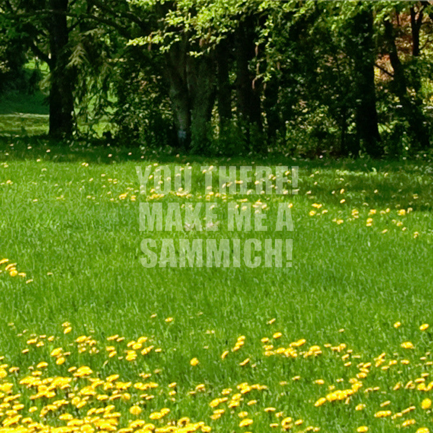 Make Me A Sammich