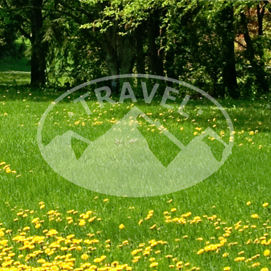 Travel Mountain Oval