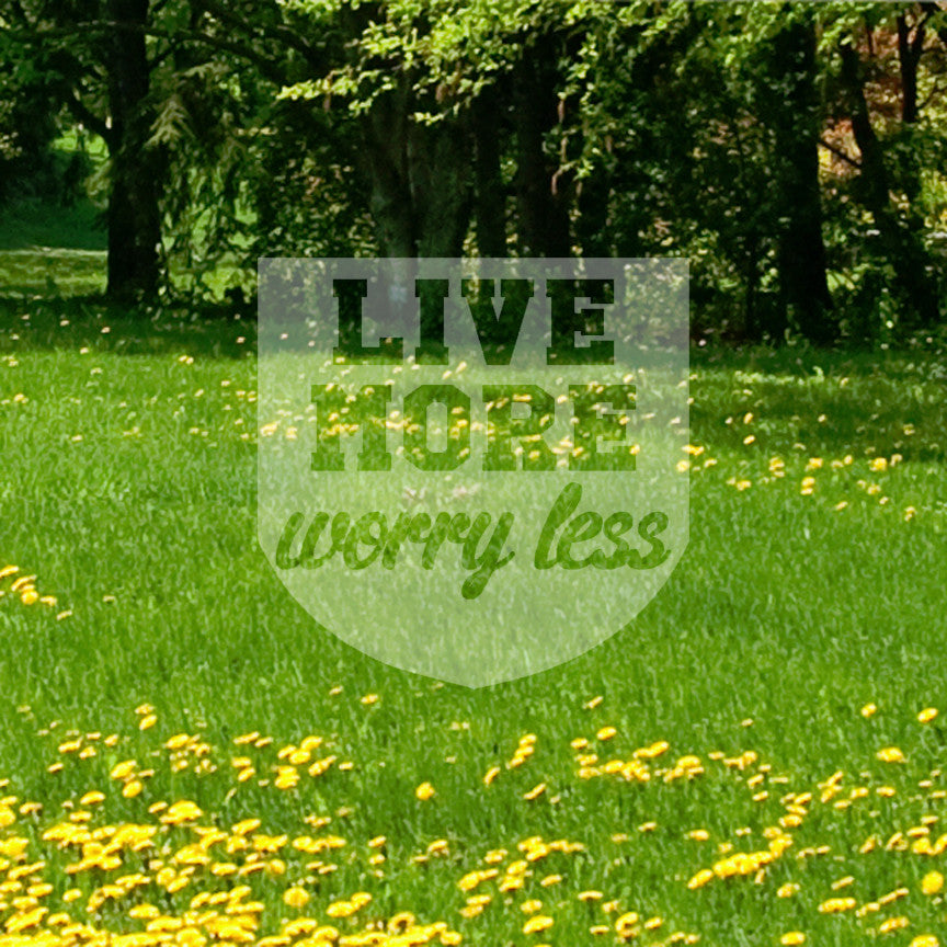 Live More Worry Less