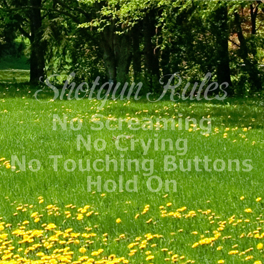 Shotgun Car Rules Hold On