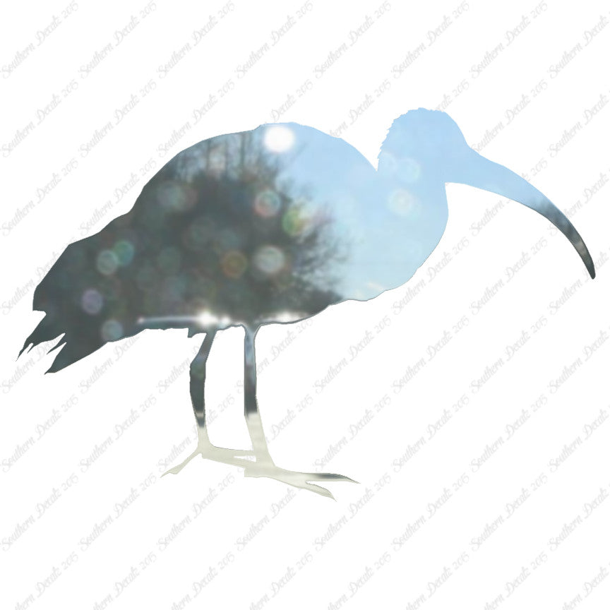 Ibis Stork Heron