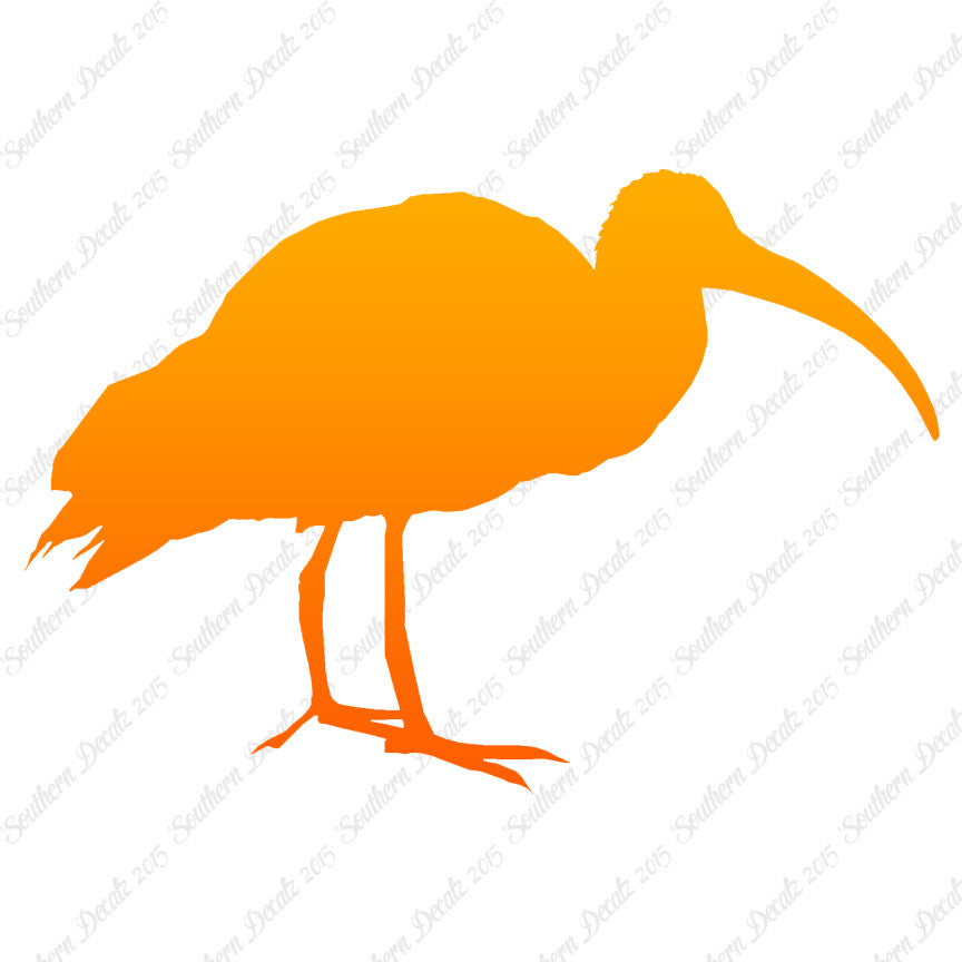 Ibis Stork Heron