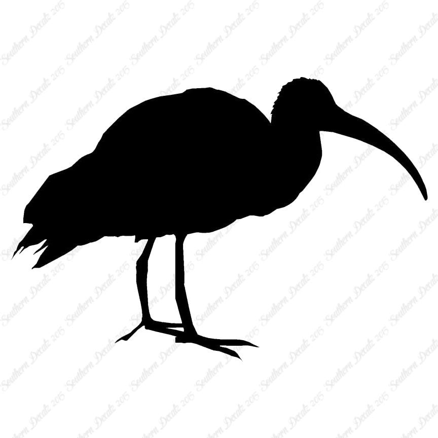 Ibis Stork Heron