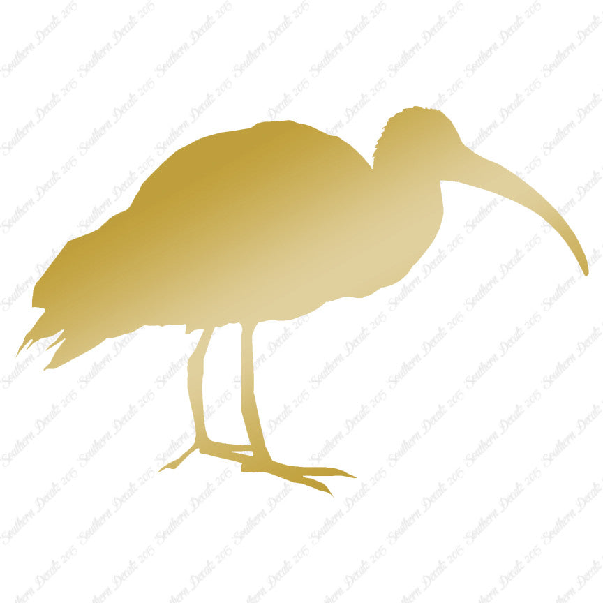 Ibis Stork Heron