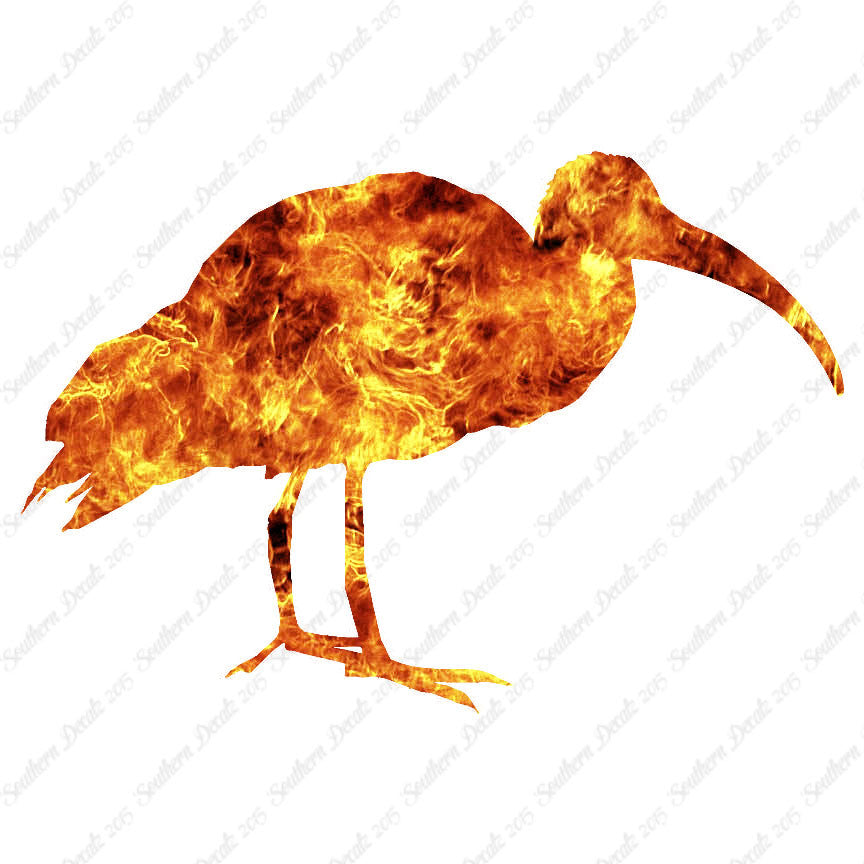 Ibis Stork Heron