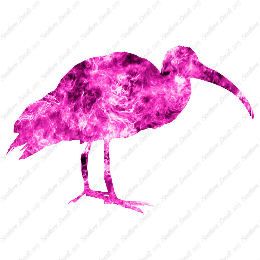 Ibis Stork Heron