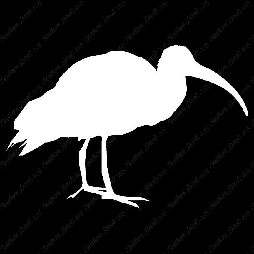Ibis Stork Heron