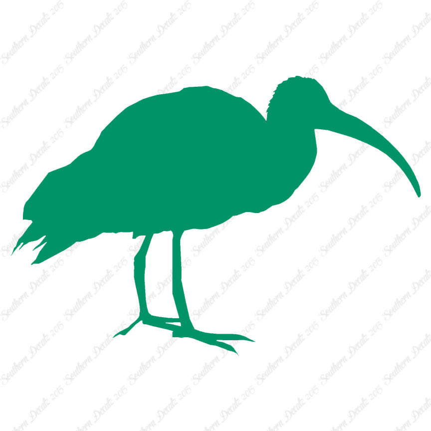 Ibis Stork Heron