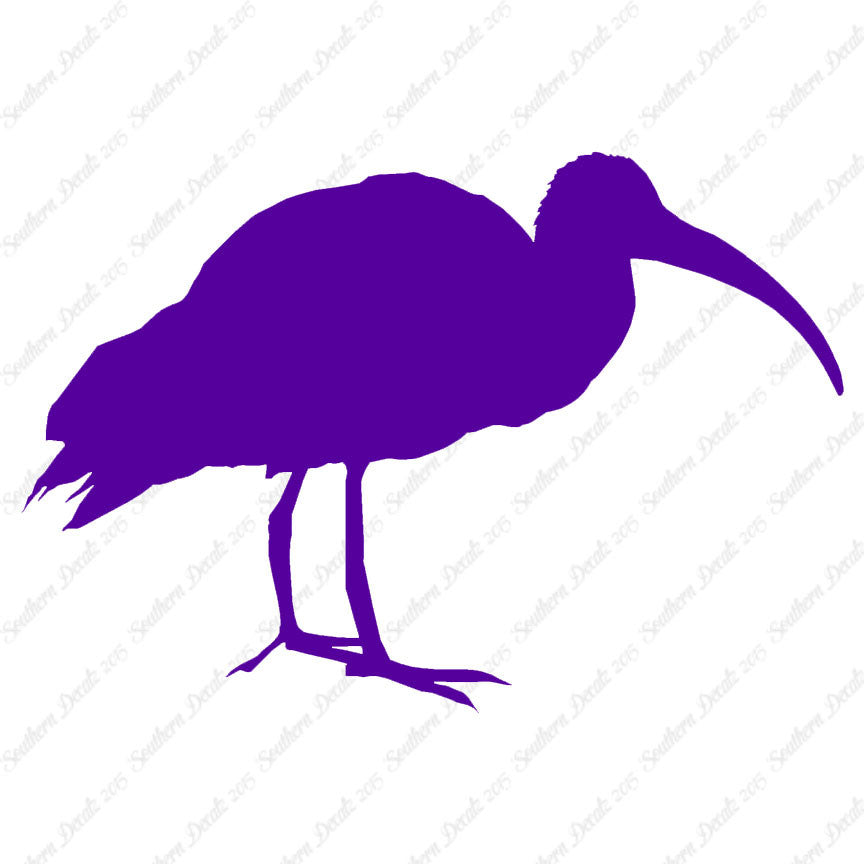 Ibis Stork Heron