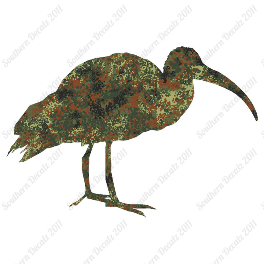 Ibis Stork Heron
