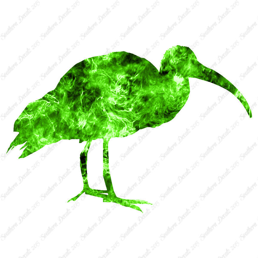 Ibis Stork Heron