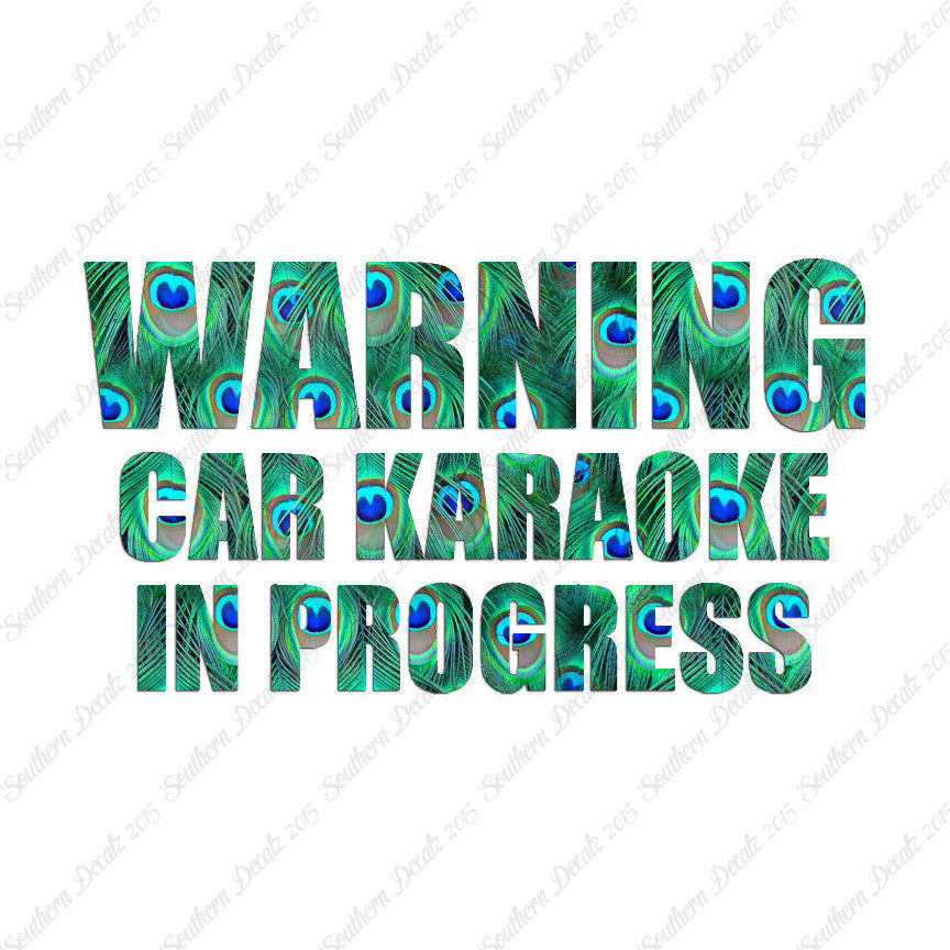 Car Karaoke In Progress