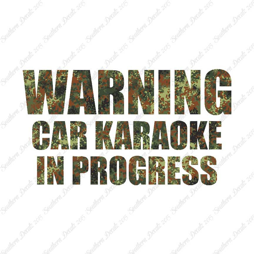 Car Karaoke In Progress