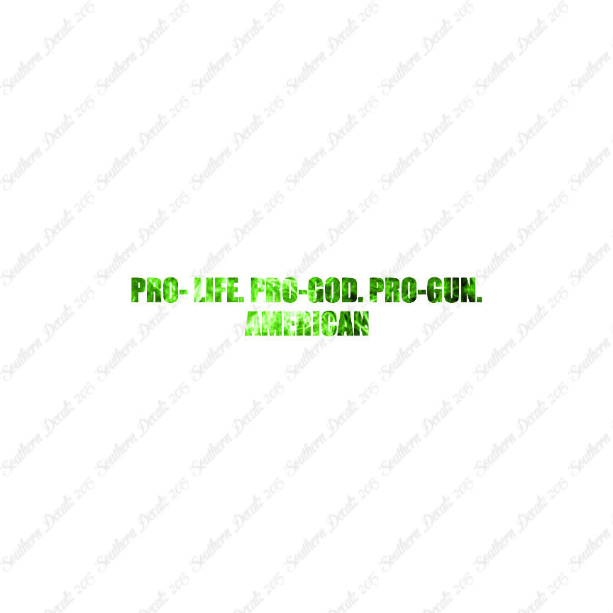Pro Life Guns God