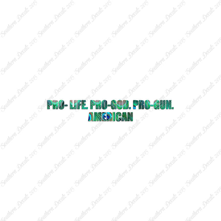 Pro Life Guns God