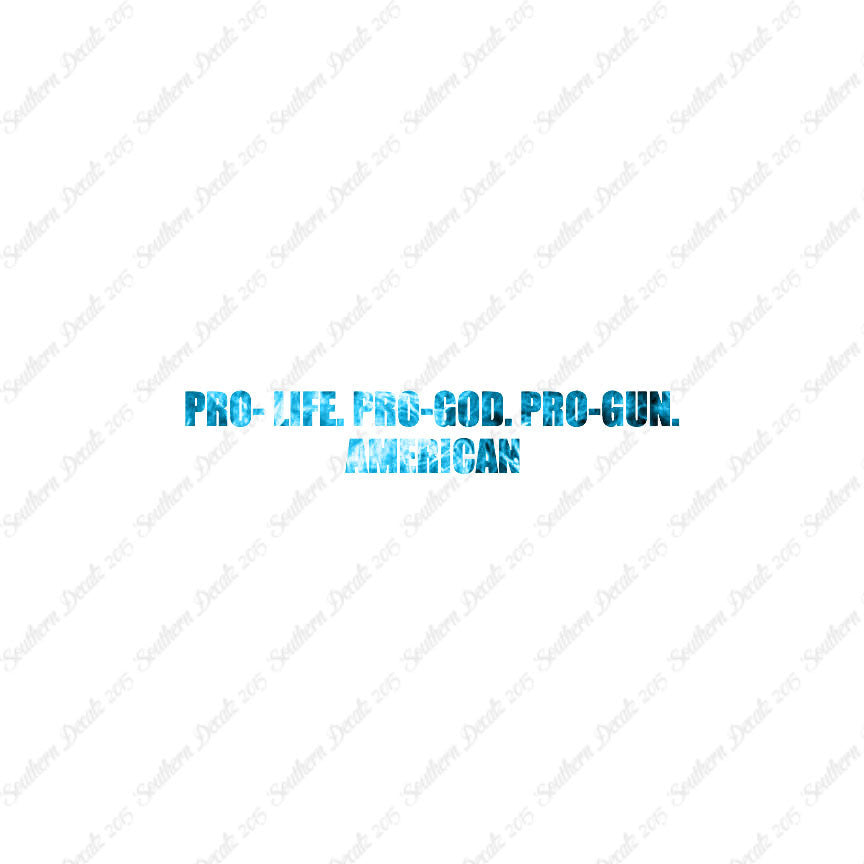 Pro Life Guns God