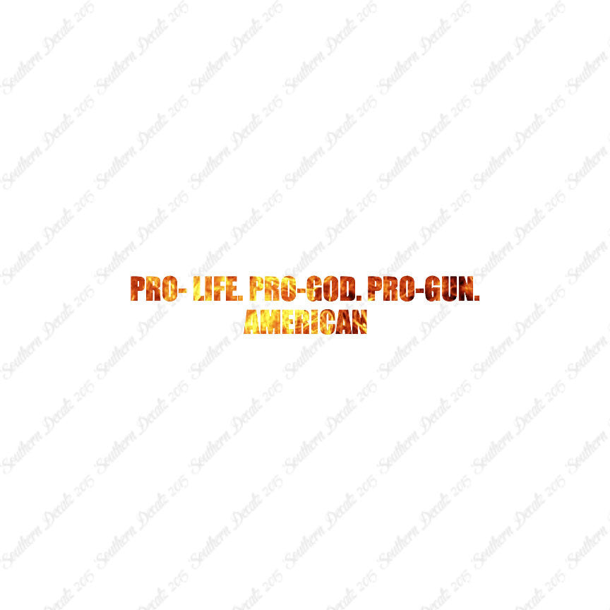 Pro Life Guns God