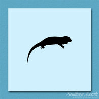 Iguana Reptile Lizard