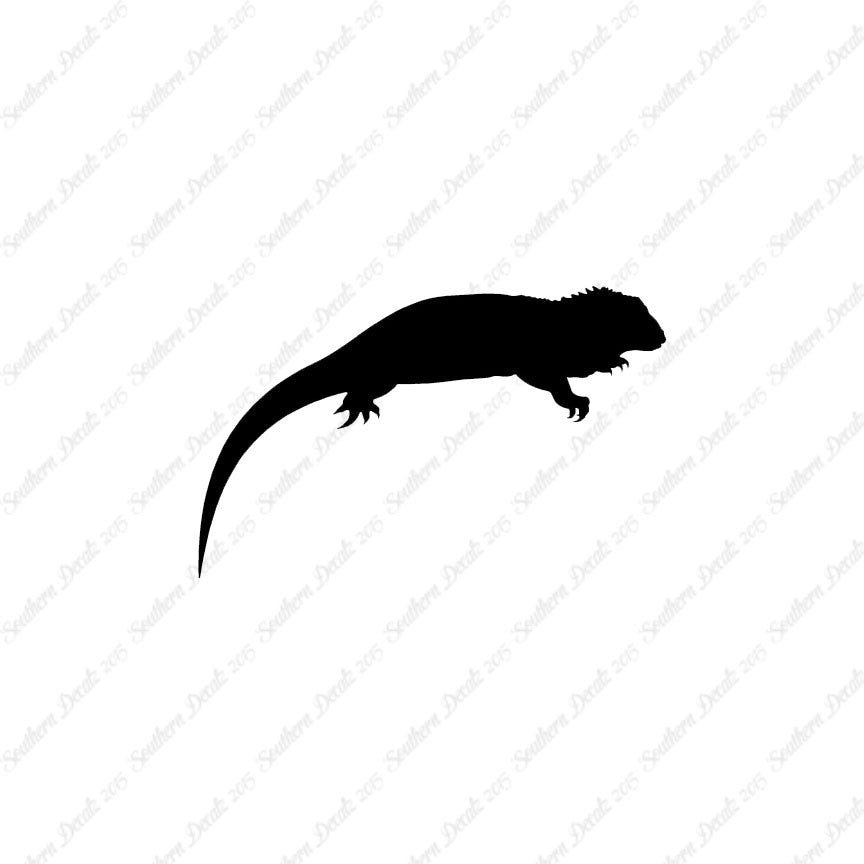 Iguana Reptile Lizard