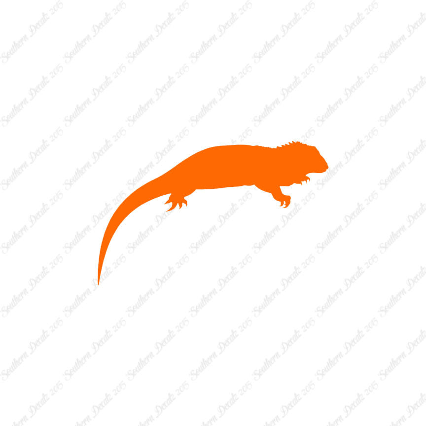 Iguana Reptile Lizard