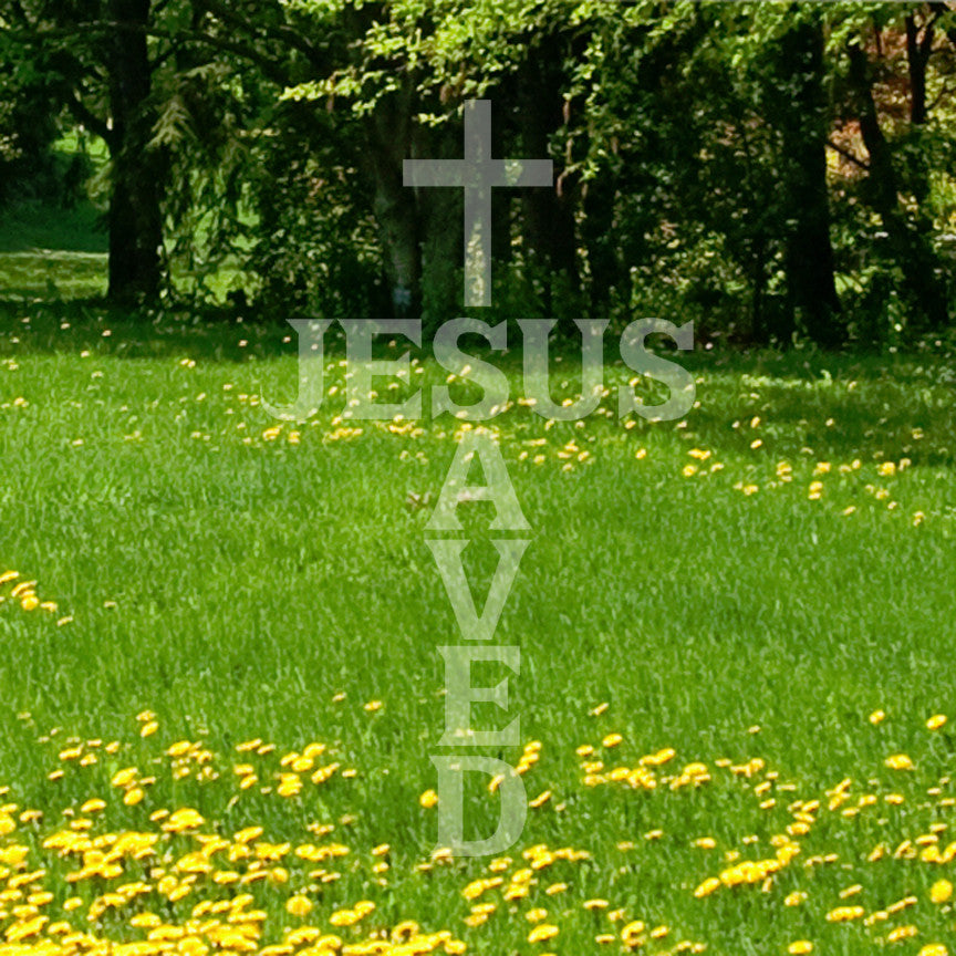 Jesus Saved Christian Cross