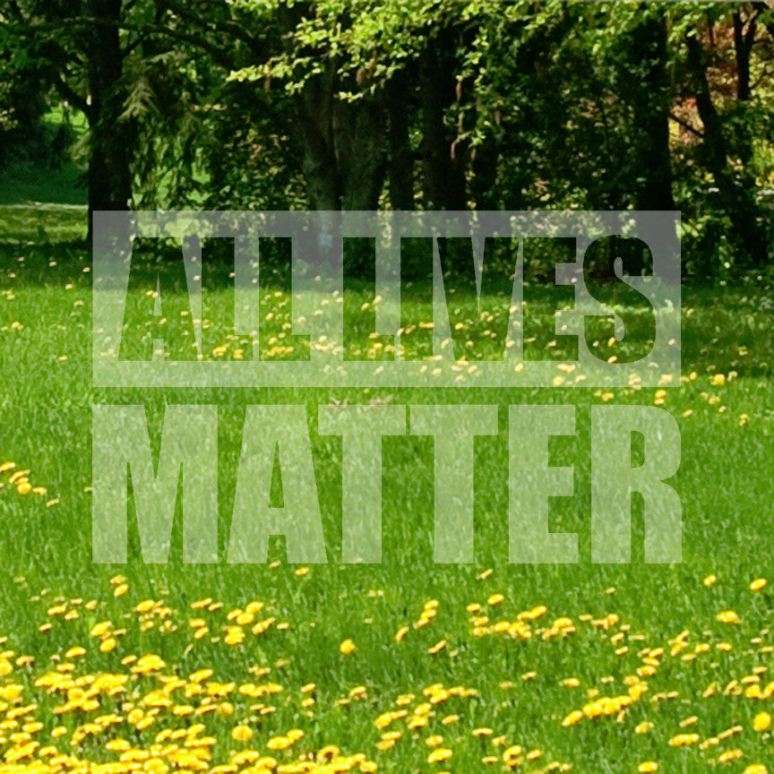 All Lives Matter