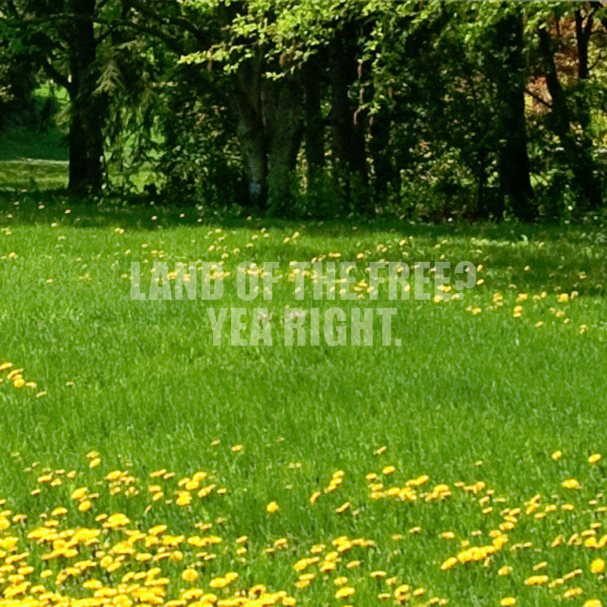 Land Of Free Yea Right