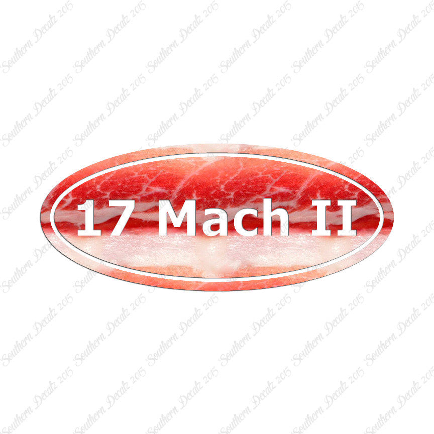 .17 MACH 2 Ammo