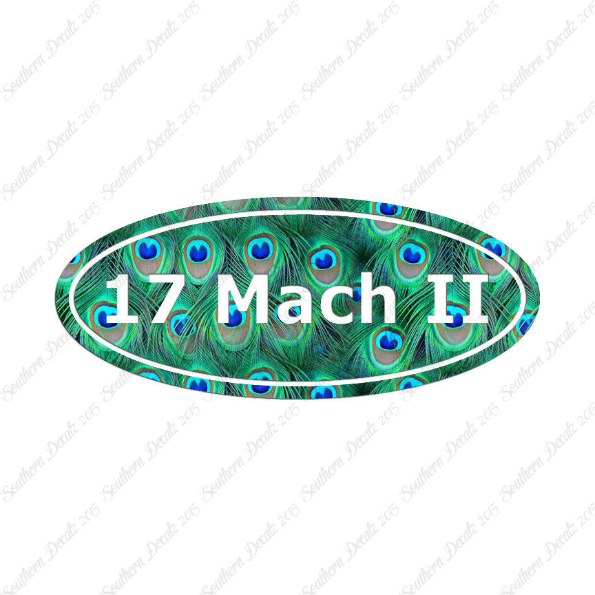 .17 MACH 2 Ammo