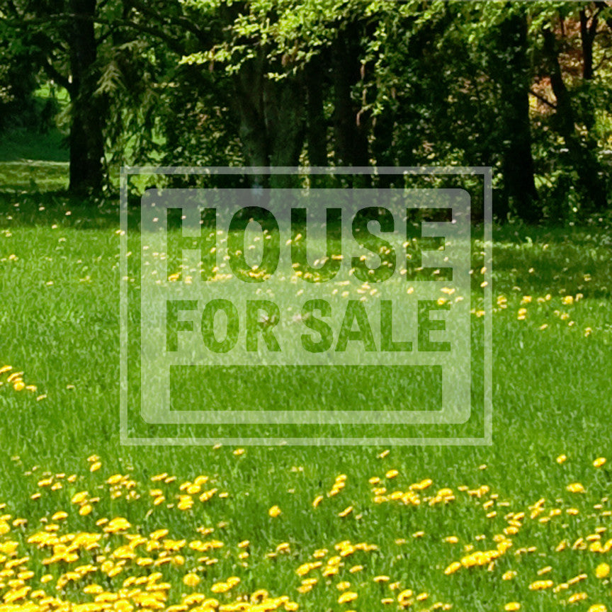 House For Sale Business Sign